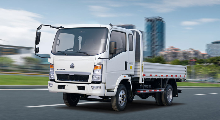 Howo 4X2 Light Cargo Truck
